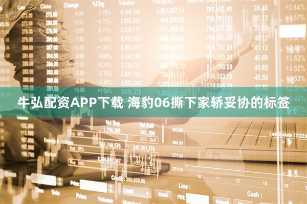 牛弘配资APP下载 海豹06撕下家轿妥协的标签