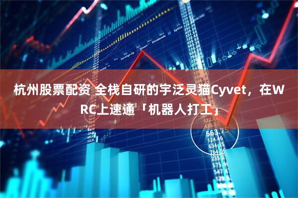 杭州股票配资 全栈自研的宇泛灵猫Cyvet，在WRC上速通「机器人打工」